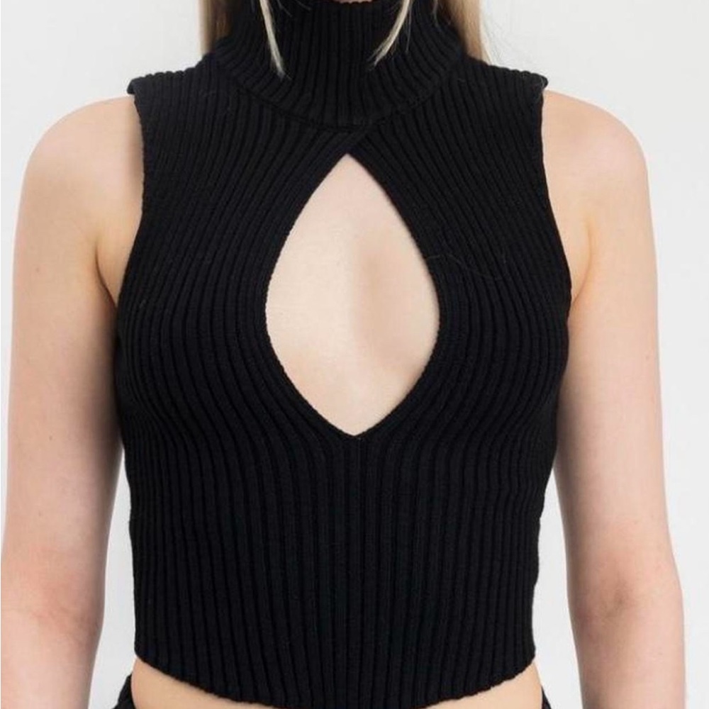 Danielle Guizio Cut Out Rib Knit Turtleneck